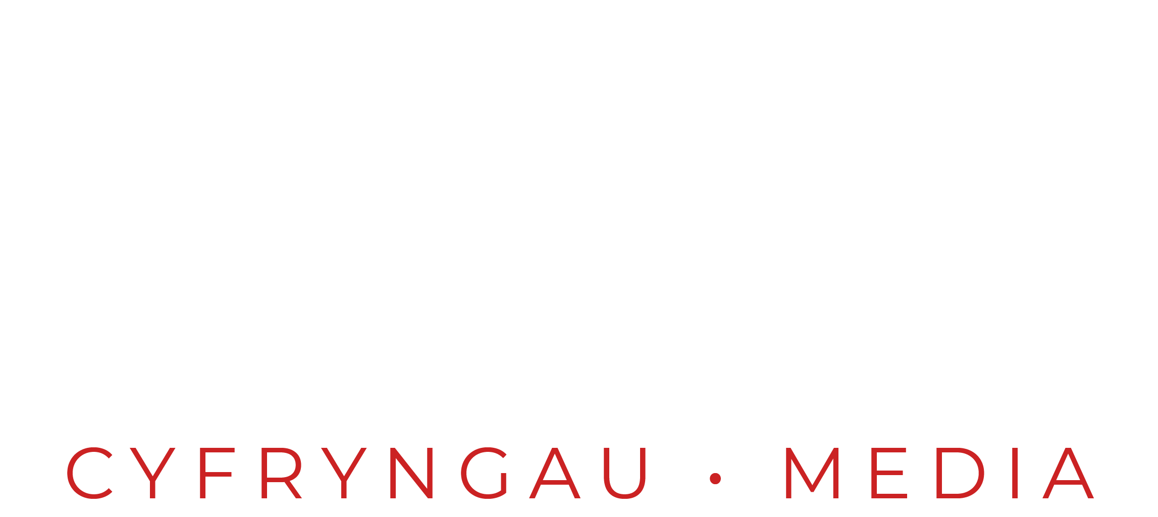 Avada Videographer Logo small-logo@2x